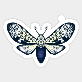 Giant Leopard Moth Sketch Artwork Sticker